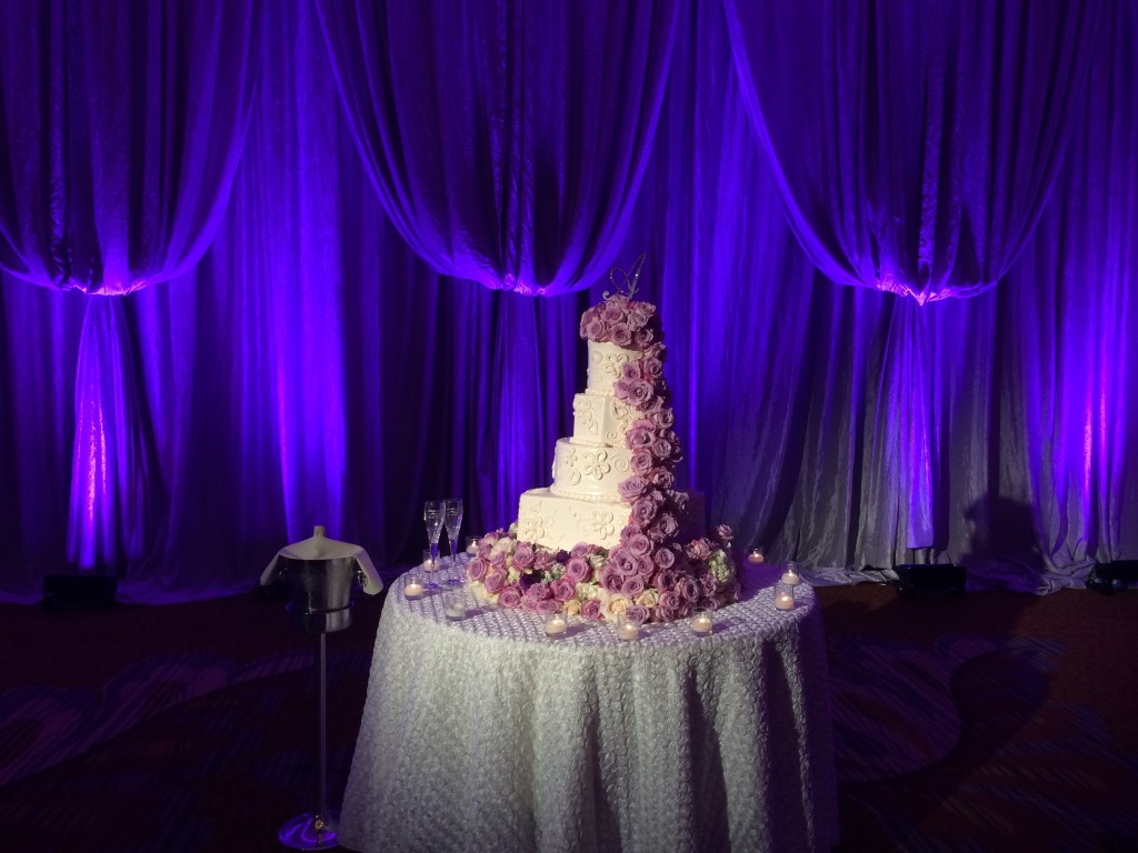 Westin Stonebriar Cake with Purple Uplighting